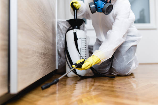 Best Commercial Pest Control Services  in Deland, FL