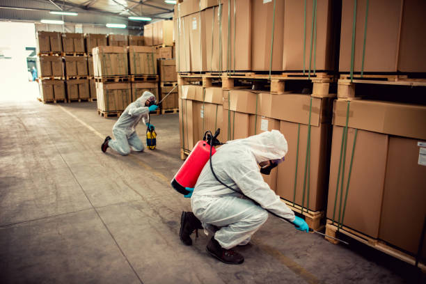Best Pest Prevention Services  in Deland, FL