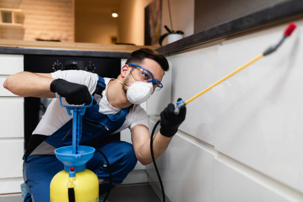 Best Affordable Pest Control Services  in Deland, FL