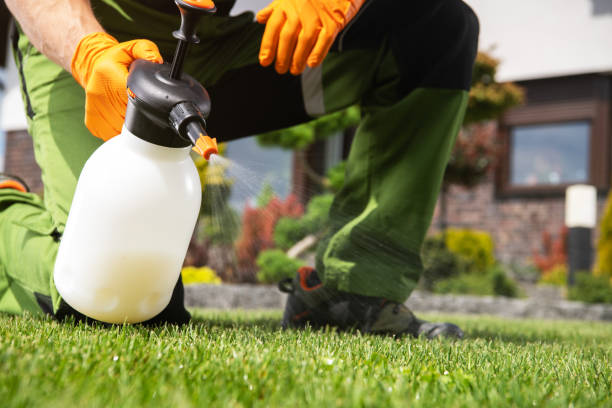 Reliable Deland, FL Pest Control Solutions