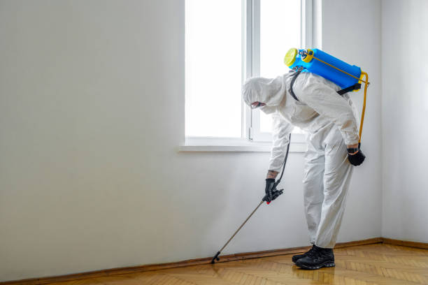 Best Pest Removal Services  in Deland, FL