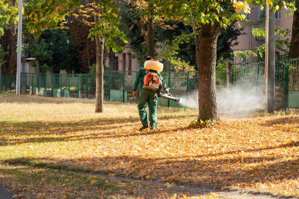 Best Pest Control Near Me in Deland, FL